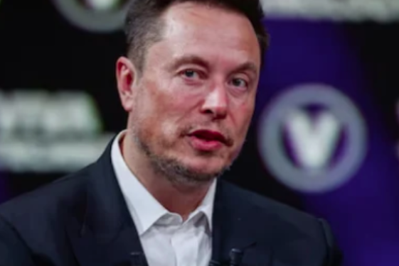 Anger in Germany after Elon Musk backs far right