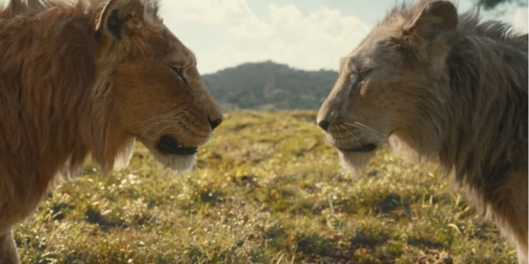 Oscar Contenders Shortlist Announced