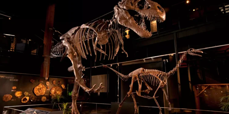 Top Family-Friendly Activities to Enjoy with Kids in Sugar Land, Texas