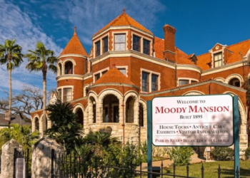 Top 5 Must-Do Activities in Galveston