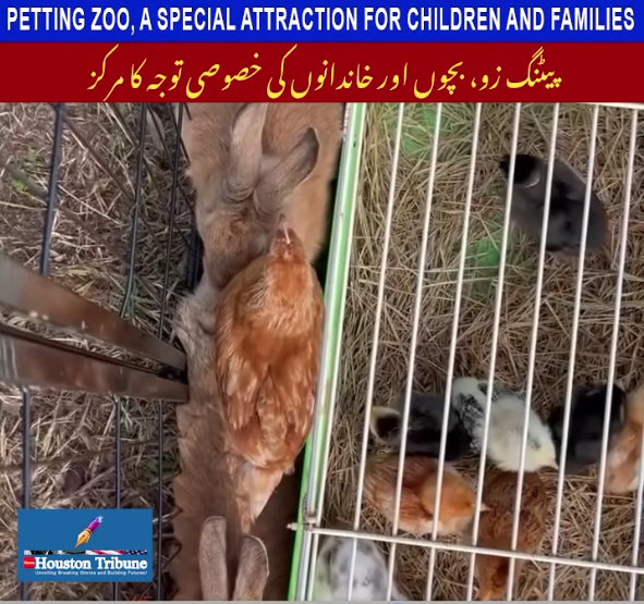 screenshot 2026 01 21 114828